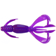 Purple-Chameleon